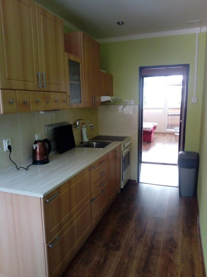 Apartmán Špičák Jiretin pod Bukovou Exterior foto